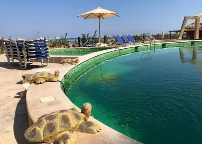 Aparthotel Turtles View Sea View Pool Private Pools Anf Sunny Balcony
